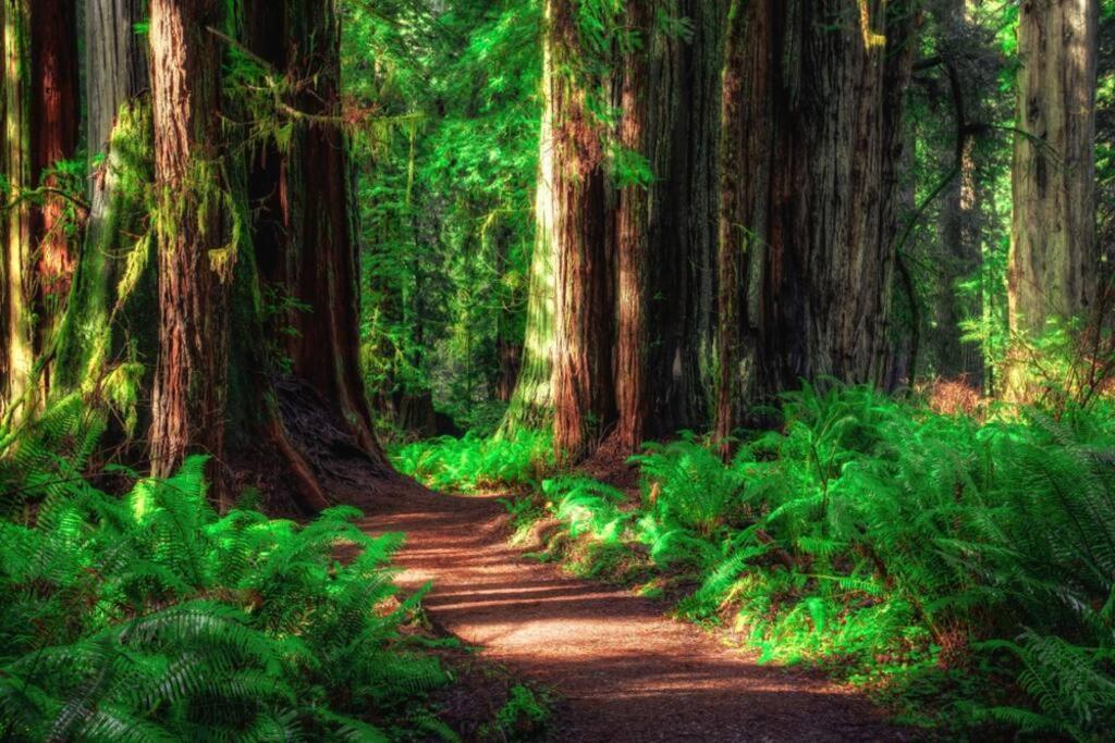 Bear Mountain - Suite 2 Grants Pass Buitenkant foto